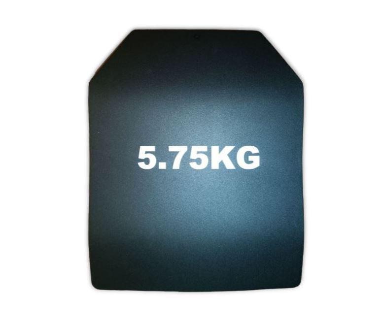 SAPI Crossfit training plate dummy weight plate made of steel (5.75 kg)
