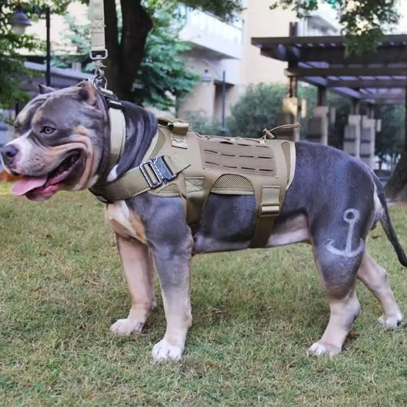 Molle Lasercut Police Dog Harness Harness for Dogs
