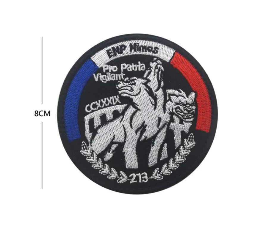 Frankreich Police Nationale Patch Pro Patria Vigilant Aufnäher ...