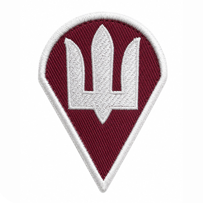 Ukrainian Air Assault Forces Logo Patch Ukraine DShV Embroidery Klett Aufnäher