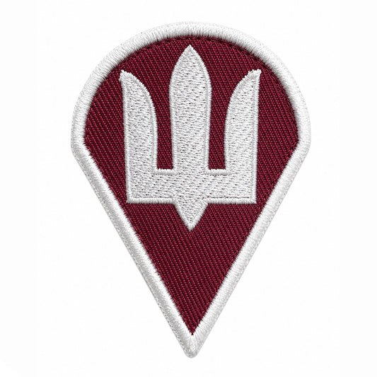 Ukrainian Air Assault Forces Logo Patch Ukraine DShV Embroidery Klett Aufnäher